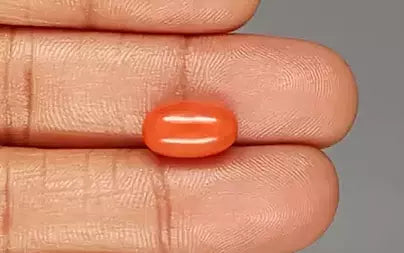 Red Coral (Moonga) - 5.22 Carats