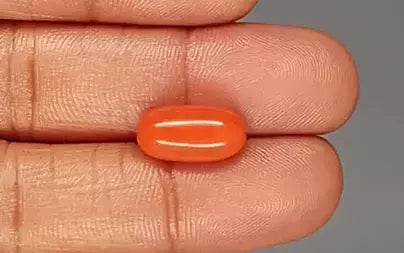 Red Coral (Moonga) - 6.48 Carats