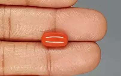 Red Coral (Moonga) - 4.11 Carats