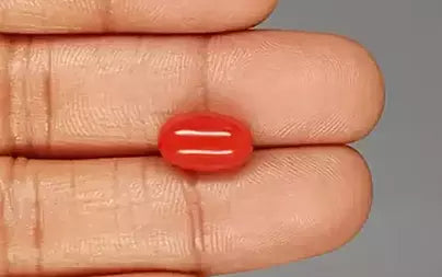 Red Coral - 5.20 Carats (Moonga - 5.67 Ratti)