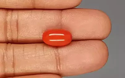 Red Coral - 5.68 Carats (Moonga - 6.19 Ratti)