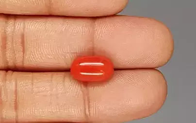 Red Coral (Moonga) - 5.26 Carats