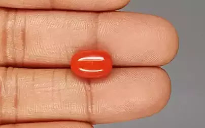 Red Coral - 5.45 Carats (Moonga - 5.94 Ratti)