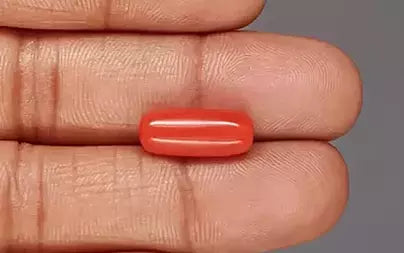 Red Coral (Moonga) - 5.68 Carats