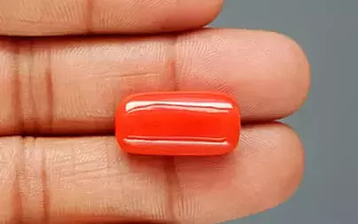 Red Coral - 17.69 Carats (Moonga - 19.28 Ratti)