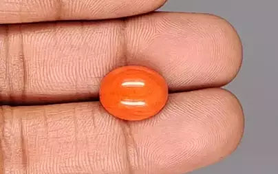 Red Coral - 6.69 Carats (Moonga - 7.29 Ratti)