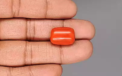 Red Coral - 22.59 Carats (Moonga - 24.62 Ratti)