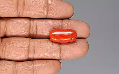 Red Coral - 17.65 Carats (Moonga - 19.24 Ratti)