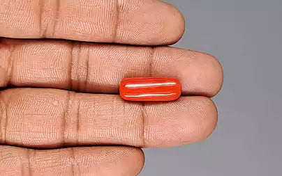 Red Coral - 9.03 Carats (Moonga - 9.84 Ratti)