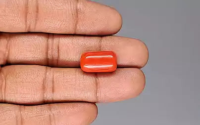 Red Coral (Moonga) - 16.25 Carats