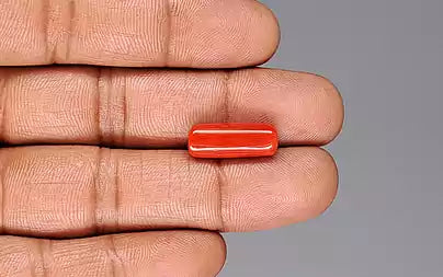 Red Coral (Moonga) - 7.61 Carats