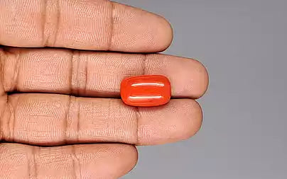 Red Coral - 15.89 Carats (Moonga - 17.32 Ratti)