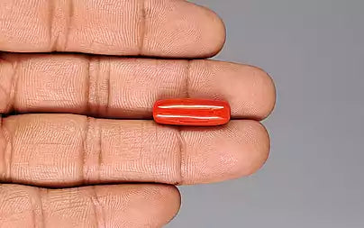 Red Coral - 9.12 Carats (Moonga - 9.94 Ratti)