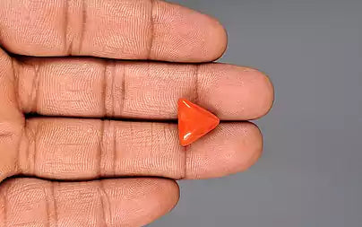 Red Coral - 7.42 Carats (Moonga - 8.09 Ratti)