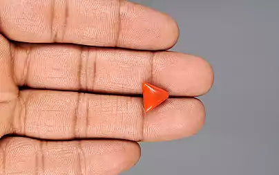 Red Coral - 3.31 Carats (Moonga - 3.61 Ratti)