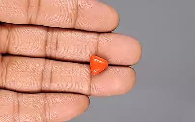 Red Coral (Moonga) - 3.33 Carats