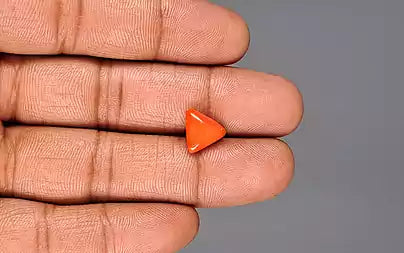 Red Coral (Moonga) - 3.40 Carats