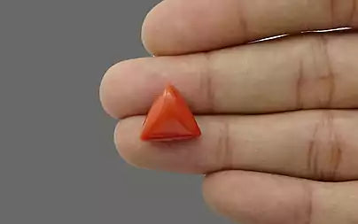 Red Coral (Moonga) - 8.12 Carats
