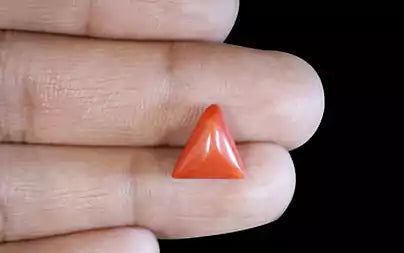 Red Coral (Moonga) - 3.71 Carats