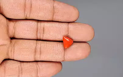 Red Coral (Moonga) - 2.90 Carats