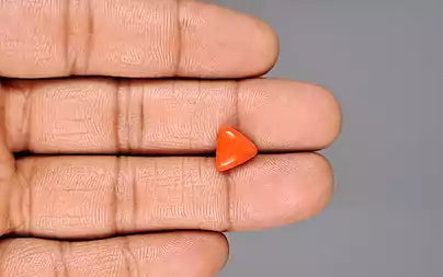 Red Coral (Moonga) - 2.74 Carats
