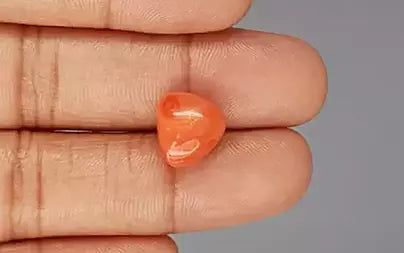 Red Coral (Moonga) - 7.99 Carats