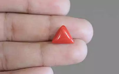 Red Coral (Moonga) - 4.01 Carats