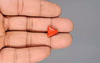 Red Coral (Moonga) - 3.73 Carats