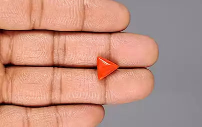 Red Coral (Moonga) - 3.65 Carats