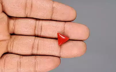 Red Coral (Moonga) - 3.78 Carats