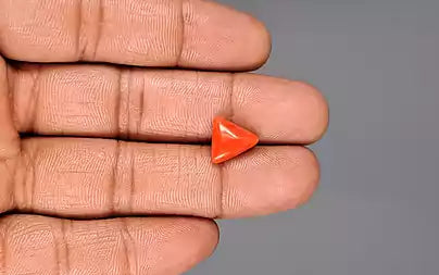 Red Coral (Moonga) - 3.88 Carats