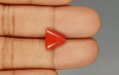 Red Coral (Moonga) - 3.30 Carats