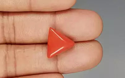 Red Coral (Moonga) - 8.39 Carats