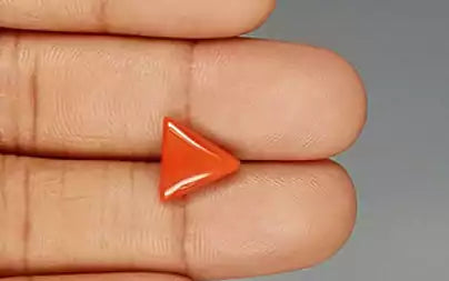 Red Coral (Moonga) - 3.25 Carats
