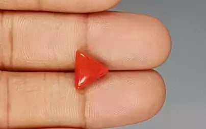 Red Coral - 3.38 Carats (Moonga - 3.68 Ratti)
