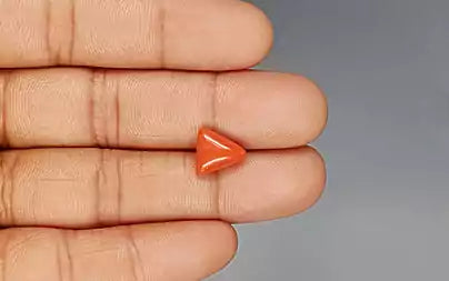 Red Coral (Moonga) - 3.62 Carats