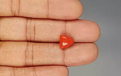 Red Coral - 3.85 Carats (Moonga - 4.20 Ratti)
