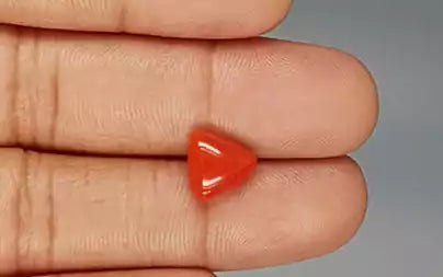 Red Coral (Moonga) - 3.37 Carats