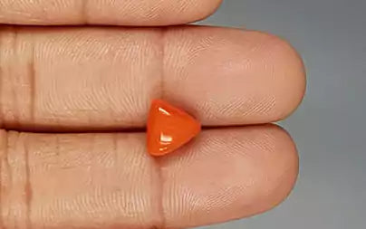 Red Coral (Moonga) - 3.50 Carats
