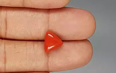 Red Coral (Moonga) - 3.48 Carats