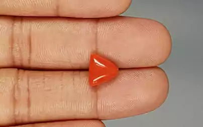 Red Coral (Moonga) - 3.27 Carats
