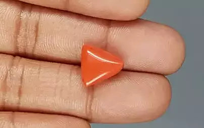 Red Coral (Moonga) - 6.73 Carats
