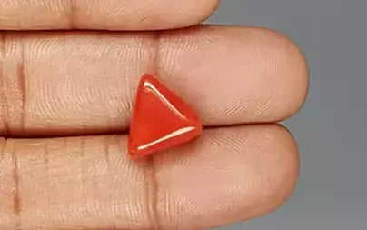 Red Coral (Moonga) - 6.75 Carats