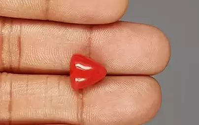Red Coral (Moonga) - 6.04 Carats