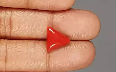 Red Coral (Moonga) - 5.04 Carats