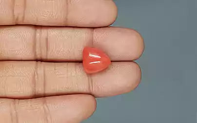 Red Coral - 9.47 Carats (Moonga - 10.32 Ratti)