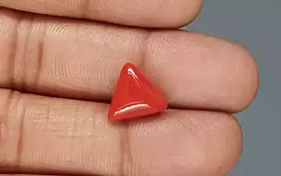 Red Coral (Moonga) - 5.11 Carats