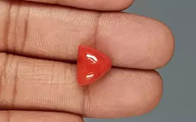 Red Coral - 6.20 Carats (Moonga - 6.76 Ratti)