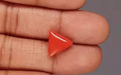 Red Coral - 5.21 Carats (Moonga - 5.68 Ratti)