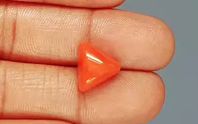 Red Coral (Moonga) - 7.75 Carats